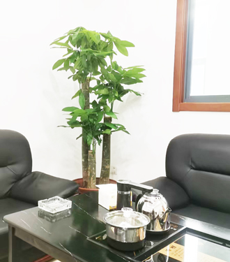 �����̻�����ֲ��